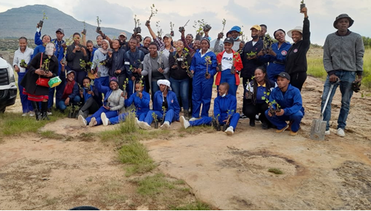 EnvirrroCare Club – Water and Environmental Engineering Tree Planting Campaign`22th March 2022